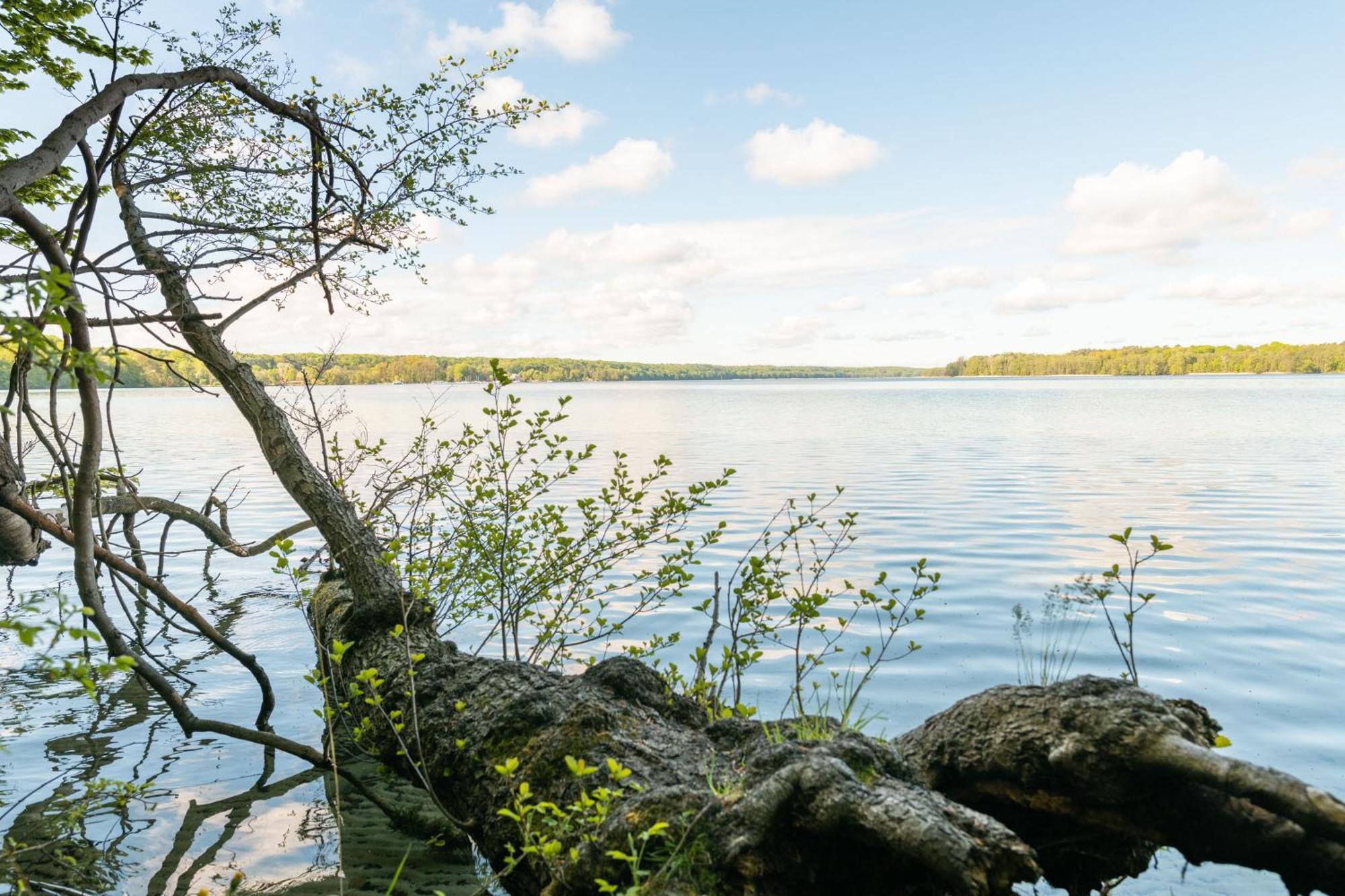 Budget Seezeit-Resort Am Werbellinsee Altenhof  Exterior foto